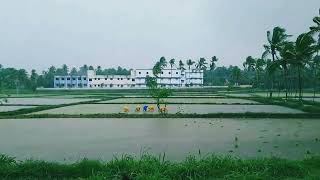 When it rains in Kerala || Farmers on work #rainsounds #rainyday #farmers #beautifulnature