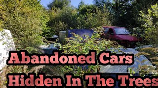 Abandoned Cars Buried In The Trees #cars #vans #urbex #abandoned