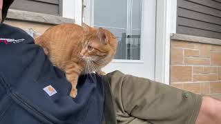 Sweet fella makes precious noise when he climbs on dad