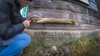 Утепление бревенчатого дома межвенцовым джутовым утеплителем