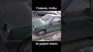 Только бы не подморозило