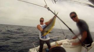 Catching Dorado Raw Footage