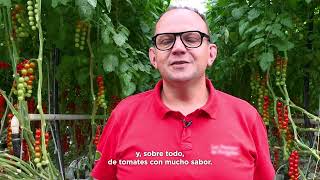 Conoce al productor | Tomates franceses