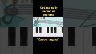 АИГЕЛ – Пыяла [OST "Слово пацана"] (собака поёт кавер на пианино) #shorts