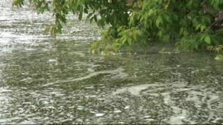 Fly fishing for brown trout on the edge