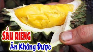 Sầu riêng món ăn gây tranh cải khắp thế giới | Saigon food Tour #14