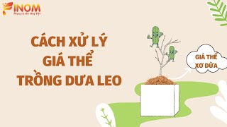 CÁCH XỬ LÝ GIÁ THỂ TRỒNG DƯA LEO