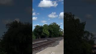 Awesome Hornshow from NS Freight on the Chicago Line  #trainspotting #train #railroad #railfan #ns