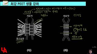 21학년도 PEET 생물추론 기출문제1~5