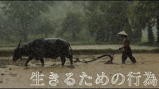 「労働」【人間の条件#3】