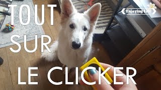 EDUQUER SON CHIEN AU CLICKER ✿ Enjoying Life