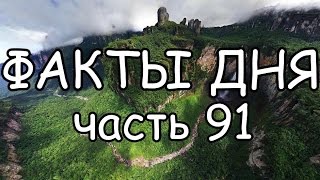 ФАКТЫ ДНЯ. Интересная информация для Вашего ума (Часть 91)