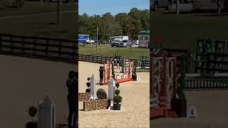 A clip from show jumping