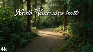 Tranquil Walk Through North Vancouver's Green Trail