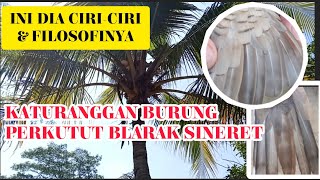 KATURANGGAN BURUNG PERKUTUT BLARAK SINERET BY @sahirutomo535