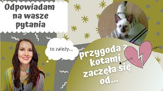 ODPOWIADAM NA WASZE PYTANIA #10 - co czuję gdy oddaję kocięta?/jak to się stało, że mam koty?