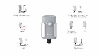 EM500 Series LoRaWAN® Sensors