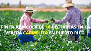 FINCA AGRICOLA DE 18 HECTÁREAS EN PUERTO RICO CAQUETÁ