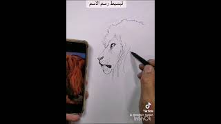 كيف نرسم الاسد - تبسيط الرسم - عبدالمحسن الطواله