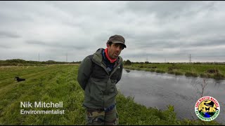 Sea Link, the threat to Pegwell Bay & Minster Marshes