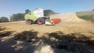 Claas Tucano 440, Búza aratás 2022 - Wheat Harvest