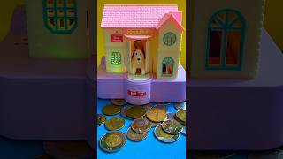 Poppy dog coin collection part 998 #shorts #shortsfeed #dog #viralvideo