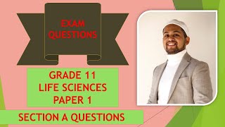 Revising Grade 11 Paper 1 Content - Section A Questions