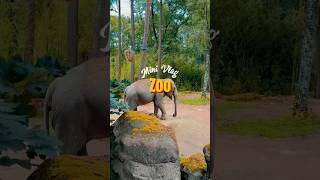 Burgers’zoo Arnhem Nethetlands هولندا #zoo #dz #nature