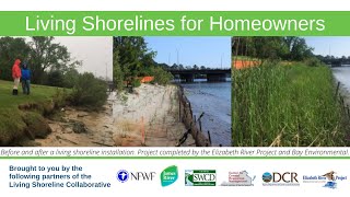 Living Shorelines for Homeowners