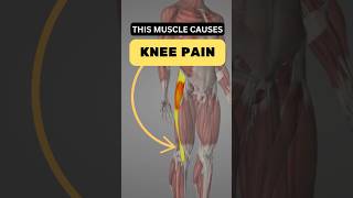 **🎥 Understanding Lateral Knee Pain: The Muscle Dysfunction You Can’t Ignore**