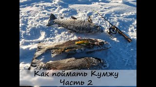 В поисках Кумжи. Часть 2 - как поймать кумжу в Ловозерской тундре.