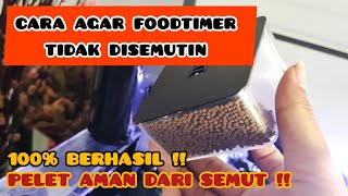 CARA AGAR FOODTIMER TIDAK DISEMUTIN || BEBAS DARI SEMUT !!