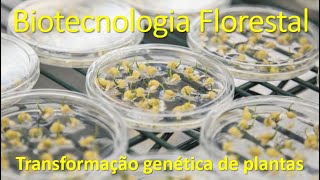 Aula 03 - Transformação genética de plantas