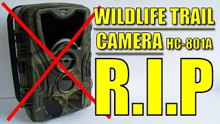 My wildlife trail camera is broken - R.I.P!