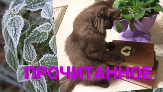 📚ПРОЧИТАННОЕ #9☃️|| ЛУННЫЙ КАМЕНЬ, ПИРАНЕЗИ, ШПИОН ПРИШЕДШИЙ С ХОЛОДА, РОМОВЫЙ ДНЕВНИК, ЛАРРИ КИНГ