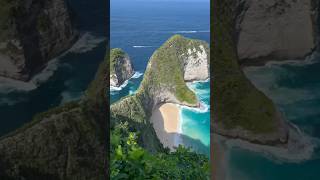 Nature's gift-Bali#shortsvideo #shorts