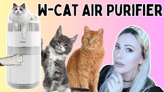 The Life Savior of Cat Parents: Wisesky W-Cat Air Purifier Review 😻