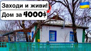 🇺🇦 Заходи и живи! Дом в селе за 4000$ Продажа недвижимости за копейки! Всё есть Уютное тихое село!