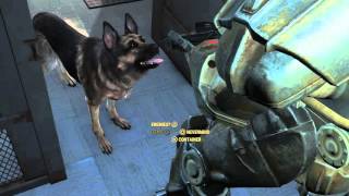 Fallout 4 How To Get The Cryolator Glitch