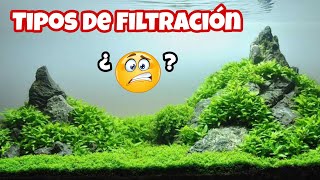 TIPOS DE FILTRACIÓN PARA ACUARIO (Quimica, Mecánica y Biológica) - AcuaFish