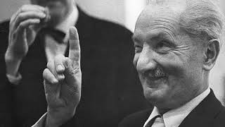 Heidegger's Contributions to Philosophy