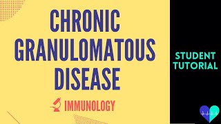 Chronic Granulomatous Disease - Medical Tutorial