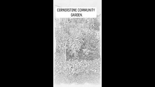 Cornerstine Community Garden