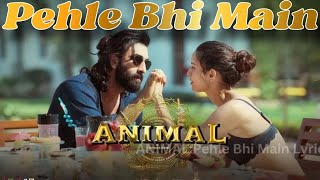 Pehle Bhi Main | Tumse Mila Hoon | Hindi lyrical #top_trending_song  #animal_cover_song