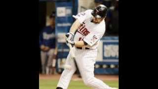 minnesota twins pictures