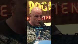 Rogan about lion hunting