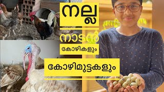 നല്ല നാടൻ കോഴികളും കോഴിമുട്ടകളും
Trip Brothers Malayalam vlog