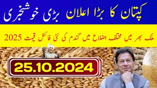 Wheat Price today in Punjab 2025