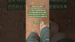 🌿선하시고 기뻐하시고 온전하신 뜻이 무엇인지🌿/나를 세운 암송 말씀 53/로마서 12: 2/맨발 걷기 좋은 날 188/앞산 맨발산행루틴