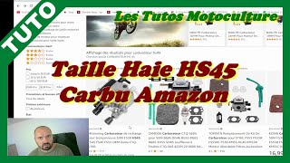 Taille Haie Stihl HS45 , Commande Carburateur Amazon ( Attention )